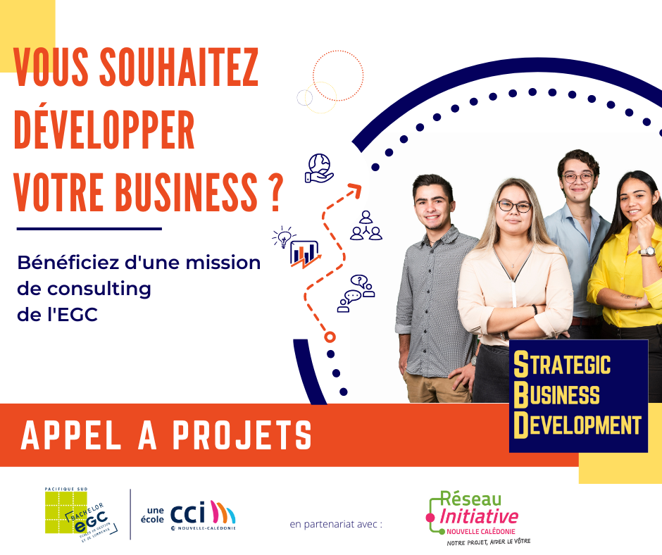 Appel à projets programme Strategic Business Development